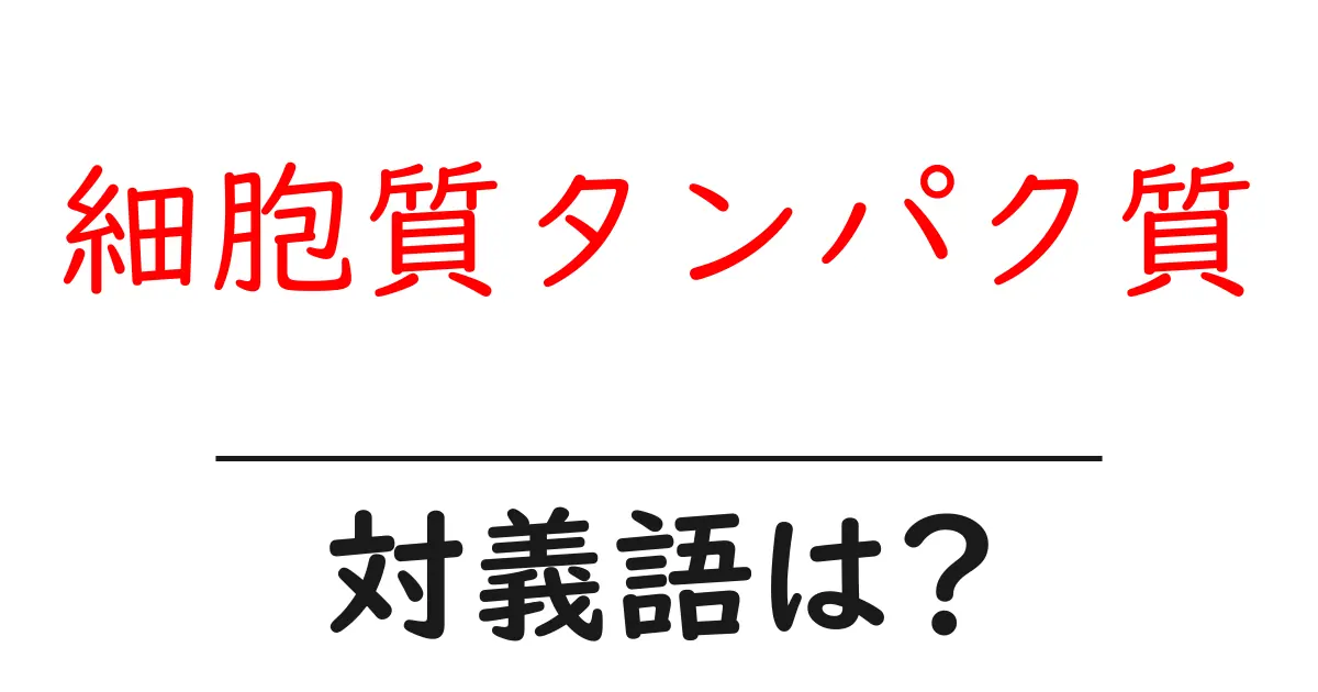 細胞質タンパク質の対義語・反対語を使用例を交えて分かりやすく解説!