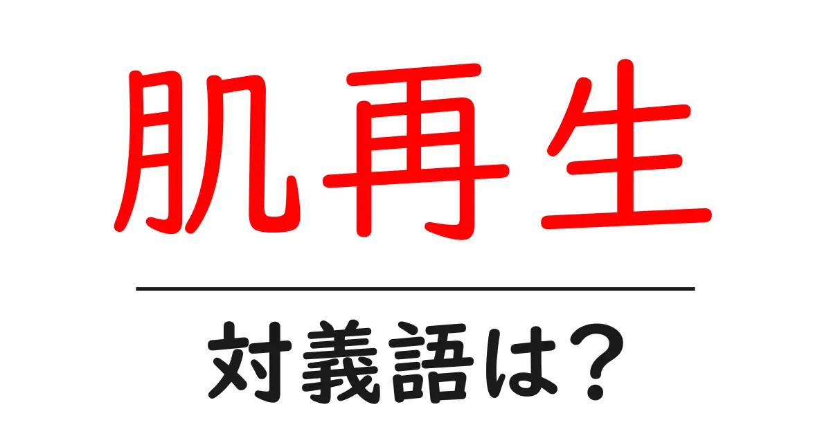 肌再生の対義語・反対語を使用例を交えて分かりやすく解説!