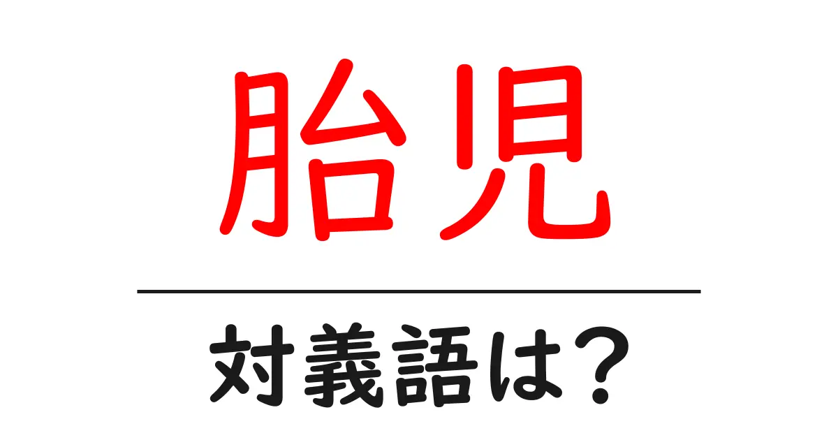 胎児の対義語・反対語を使用例を交えて分かりやすく解説！