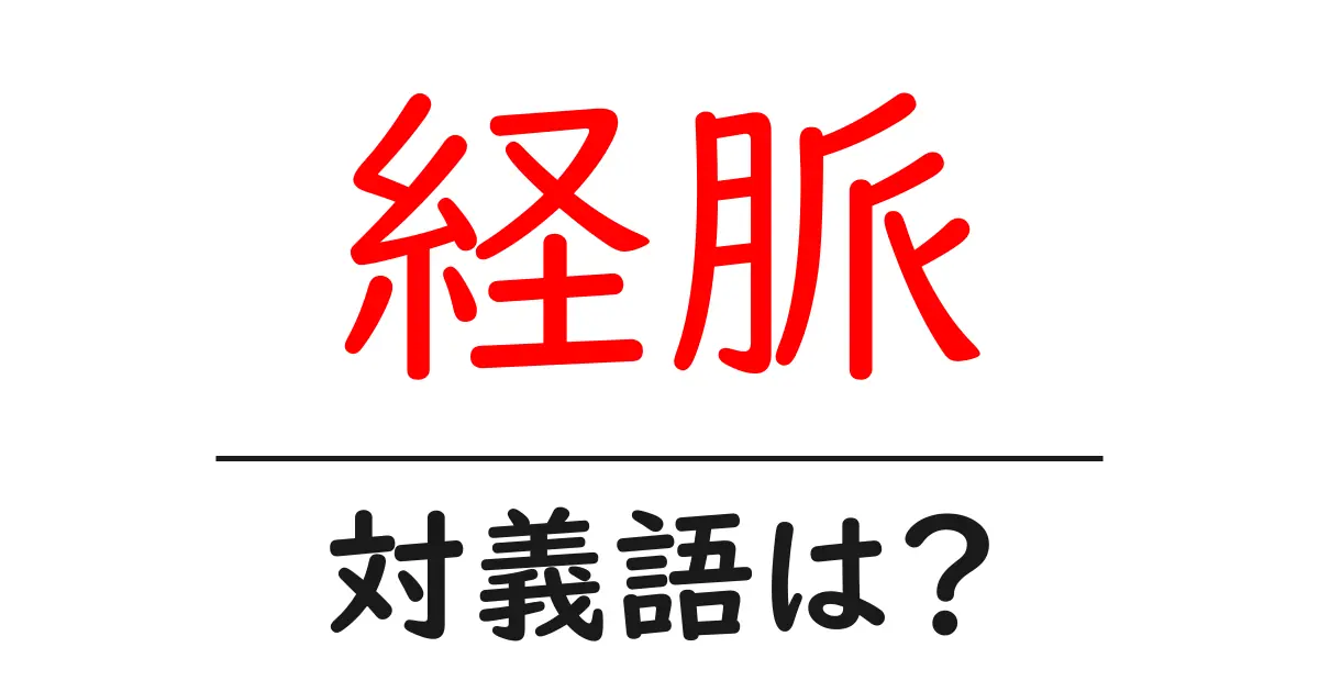 経脈の対義語・反対語を使用例を交えて分かりやすく解説!