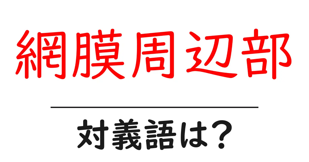 網膜周辺部の対義語・反対語を使用例を交えて分かりやすく解説!