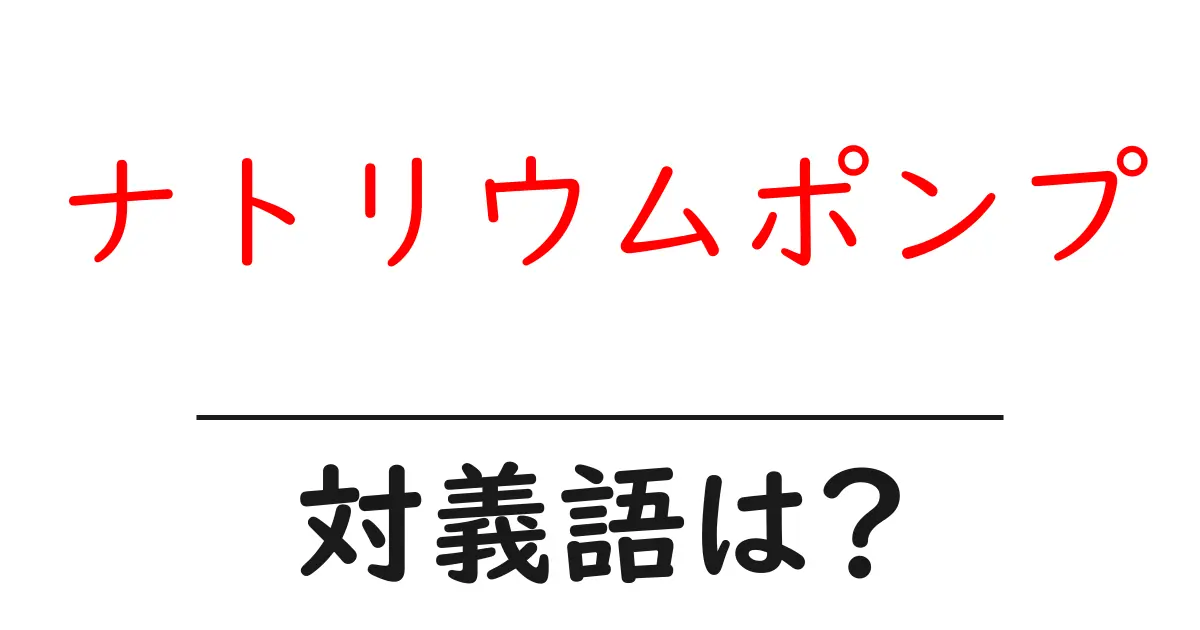 ナトリウムポンプの対義語・反対語を使用例を交えて分かりやすく解説!