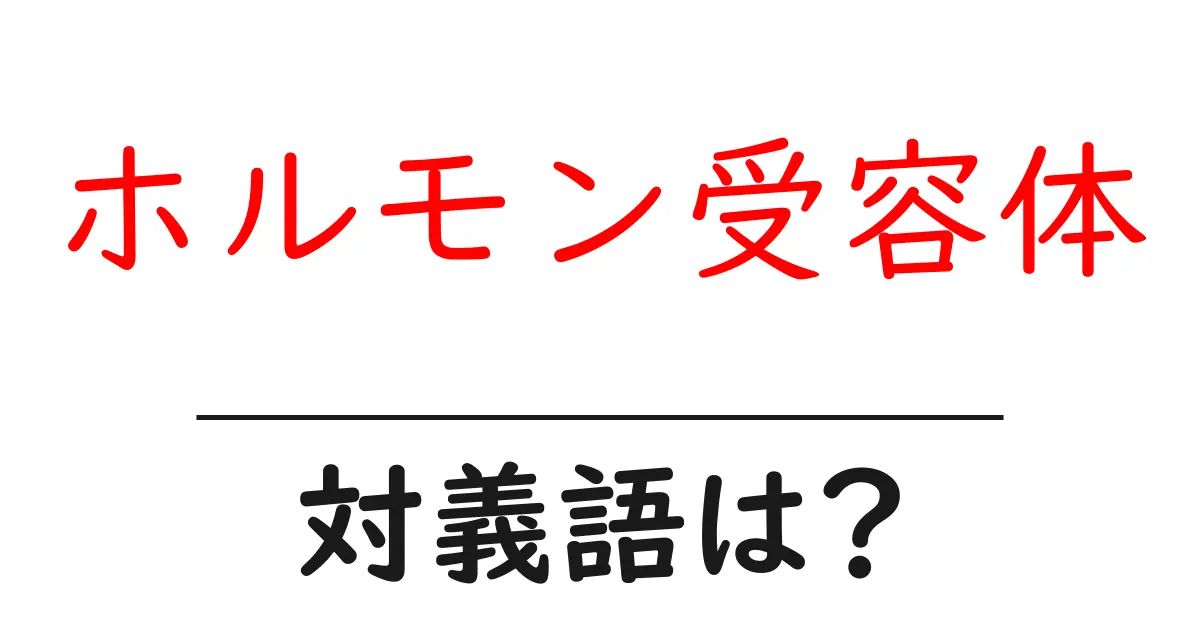 ホルモン受容体の対義語・反対語を使用例を交えて分かりやすく解説！