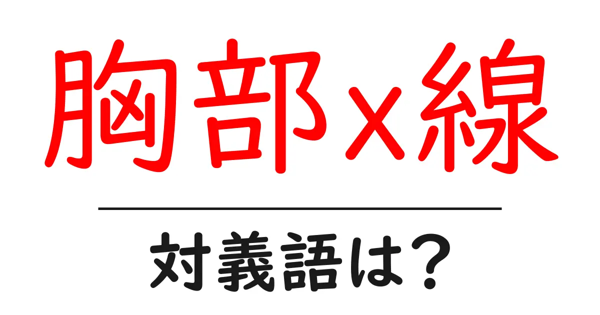 胸部x線の対義語・反対語を使用例を交えて分かりやすく解説!