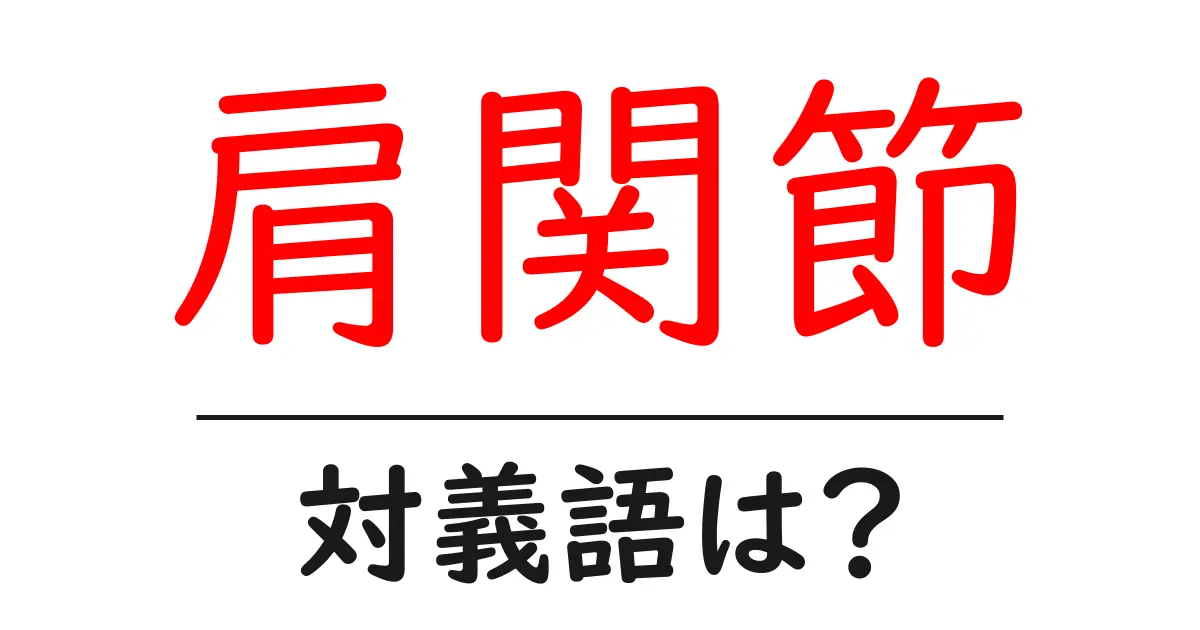 肩関節の対義語・反対語を使用例を交えて分かりやすく解説!