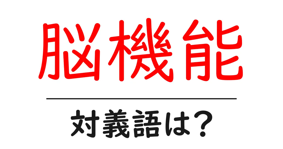 脳機能の対義語・反対語を使用例を交えて分かりやすく解説!