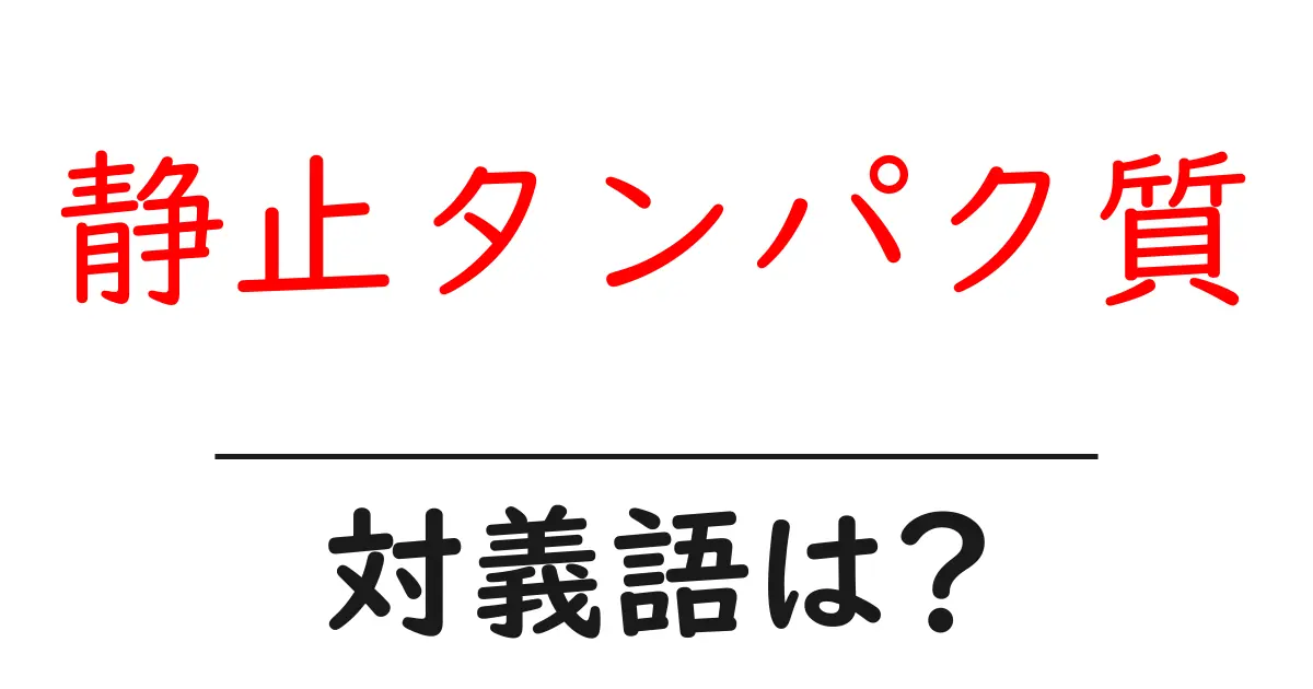 静止タンパク質の対義語・反対語を使用例を交えて分かりやすく解説!