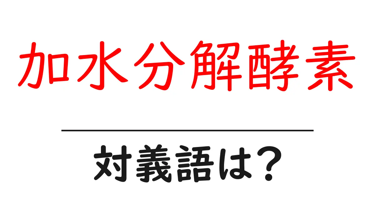 加水分解酵素の対義語・反対語を使用例を交えて分かりやすく解説!