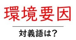 環境要因の対義語・反対語を使用例を交えて分かりやすく解説！