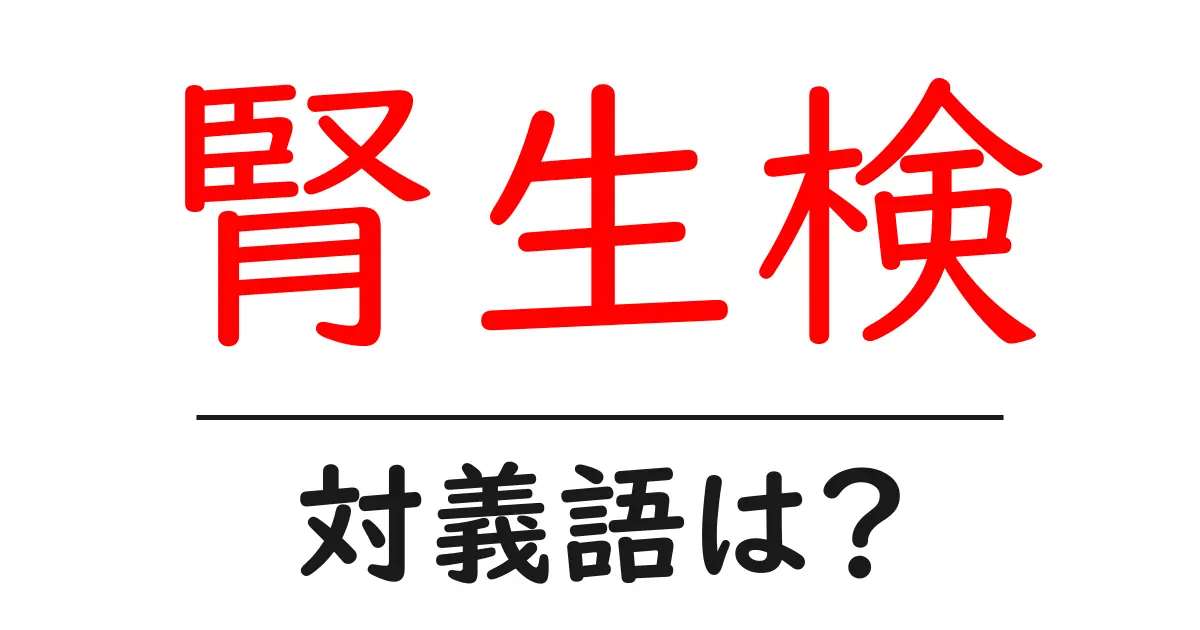 腎生検の対義語・反対語を使用例を交えて分かりやすく解説!