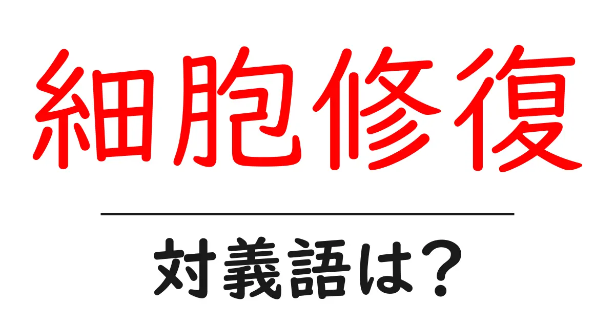 細胞修復の対義語・反対語を使用例を交えて分かりやすく解説!
