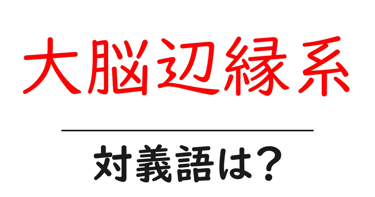 大脳辺縁系の対義語・反対語を使用例を交えて分かりやすく解説!