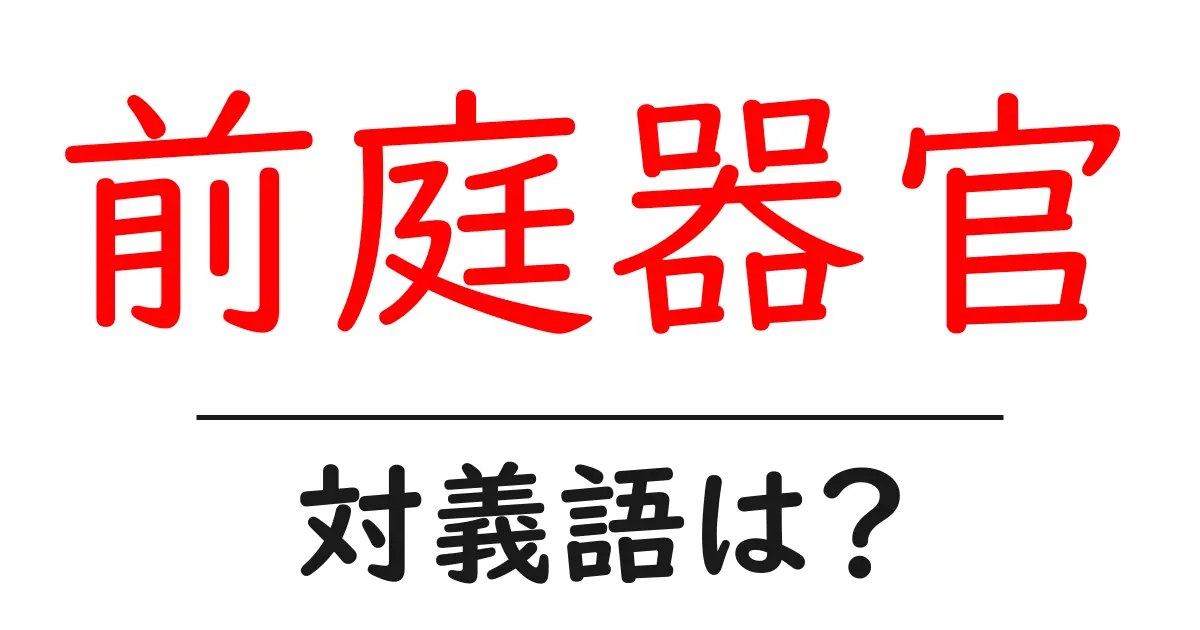 前庭器官の対義語・反対語を使用例を交えて分かりやすく解説!