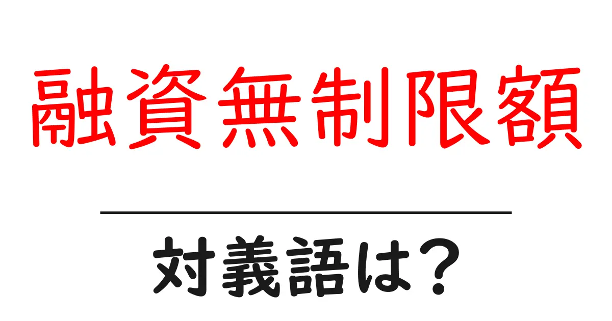 融資無制限額の対義語・反対語を使用例を交えて分かりやすく解説!