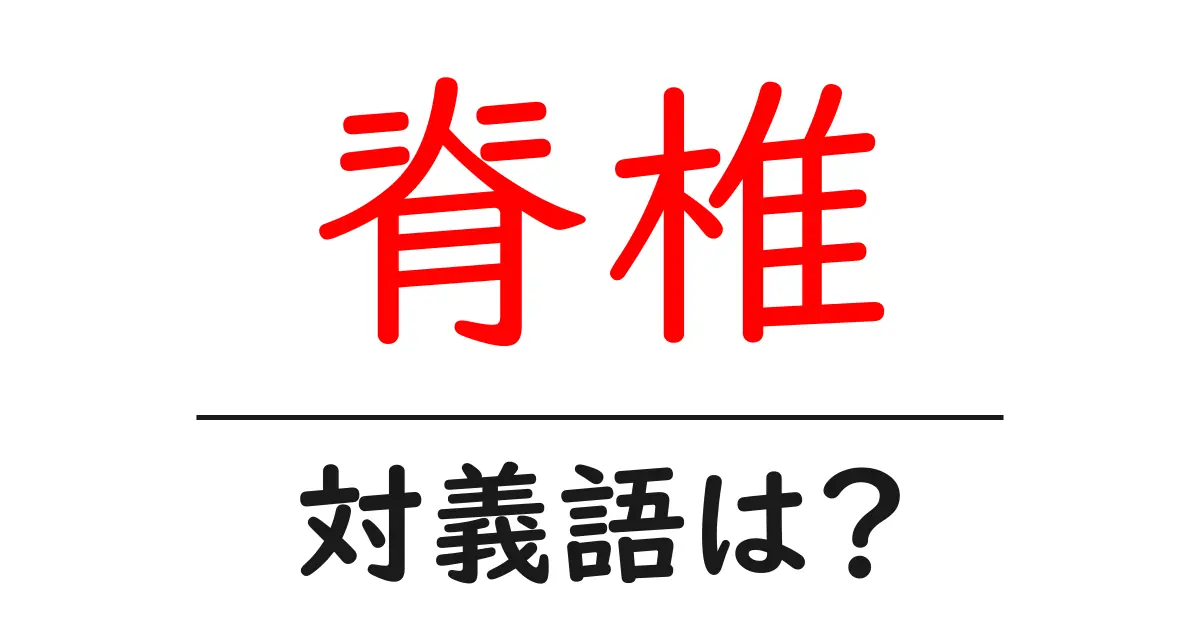脊椎の対義語・反対語を使用例を交えて分かりやすく解説!