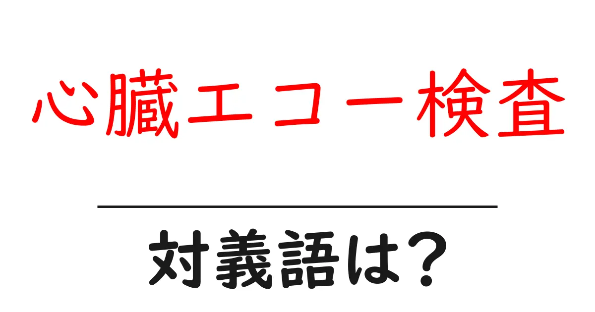 心臓エコー検査の対義語・反対語を使用例を交えて分かりやすく解説!