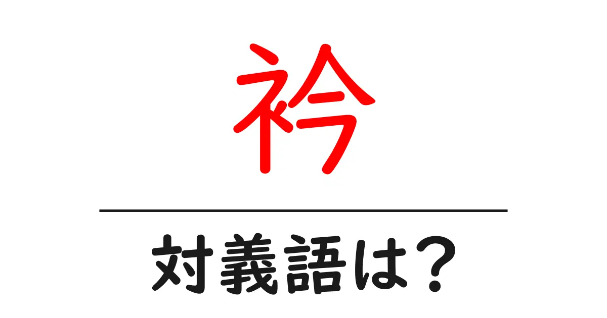 衿の対義語・反対語を使用例を交えて分かりやすく解説!