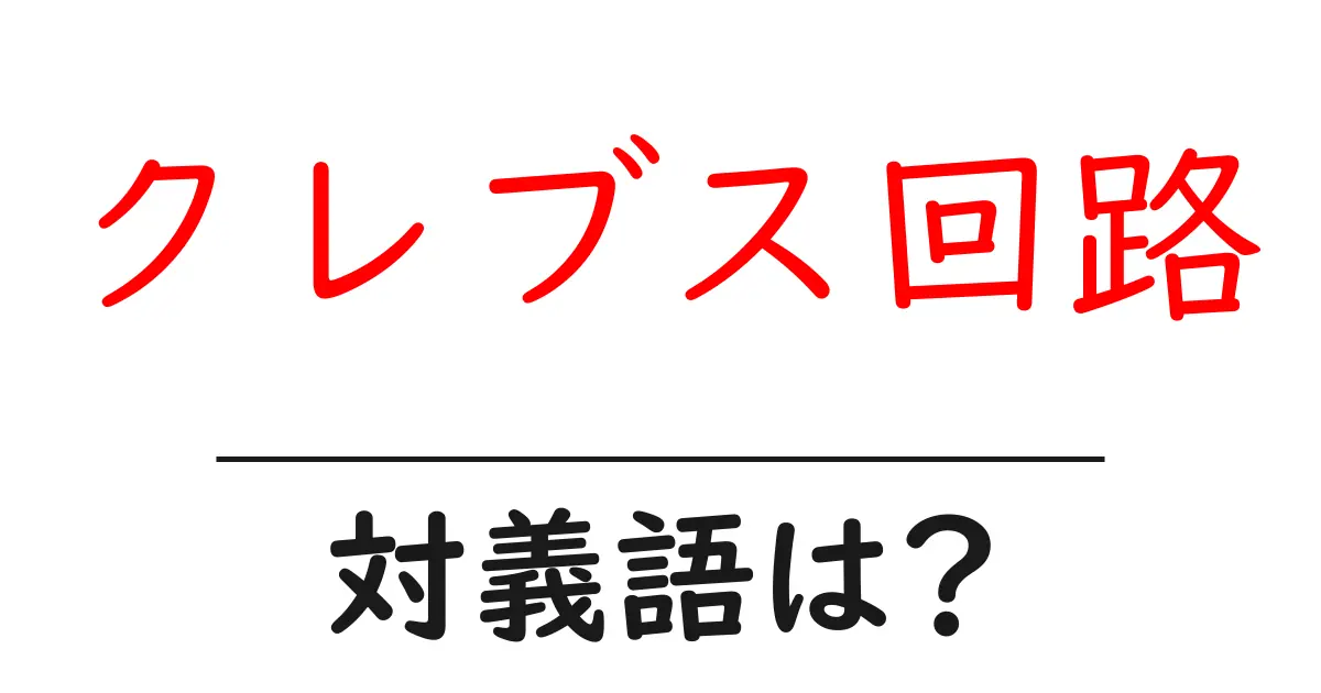 クレブス回路の対義語・反対語を使用例を交えて分かりやすく解説!