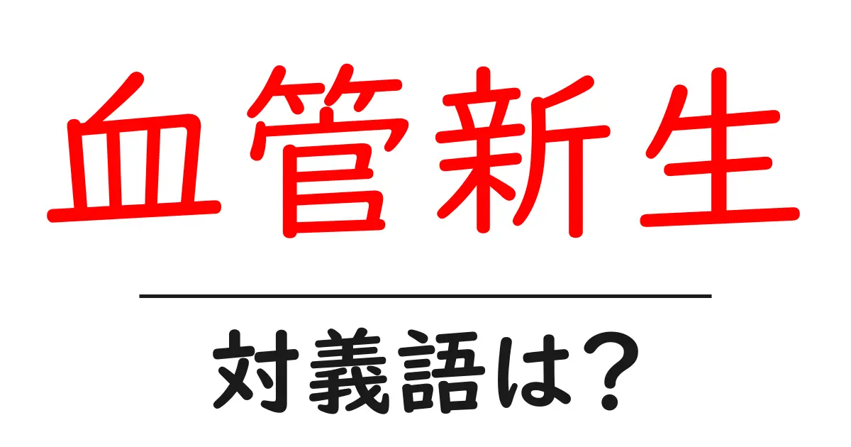 血管新生の対義語・反対語を使用例を交えて分かりやすく解説!
