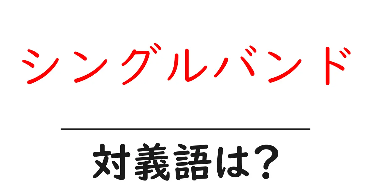 シングルバンドの対義語・反対語を使用例を交えて分かりやすく解説!