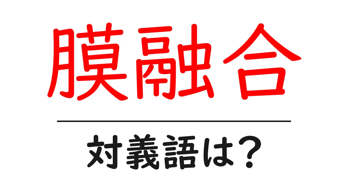 膜融合の対義語・反対語を使用例を交えて分かりやすく解説!