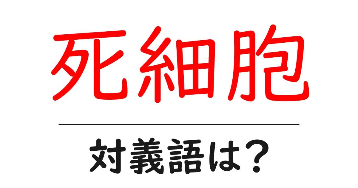 死細胞の対義語・反対語を使用例を交えて分かりやすく解説!