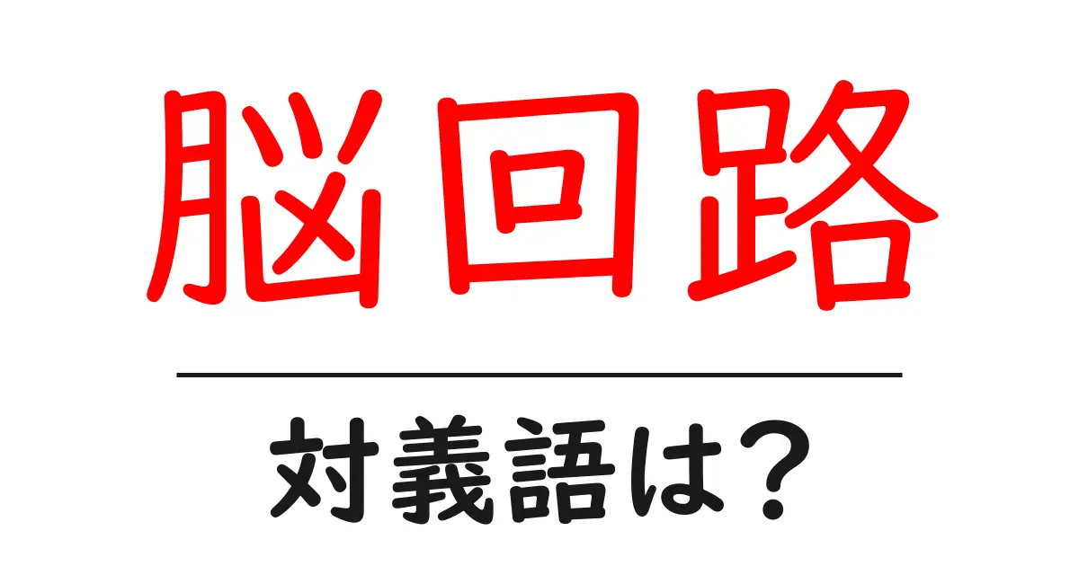 脳回路の対義語・反対語を使用例を交えて分かりやすく解説!