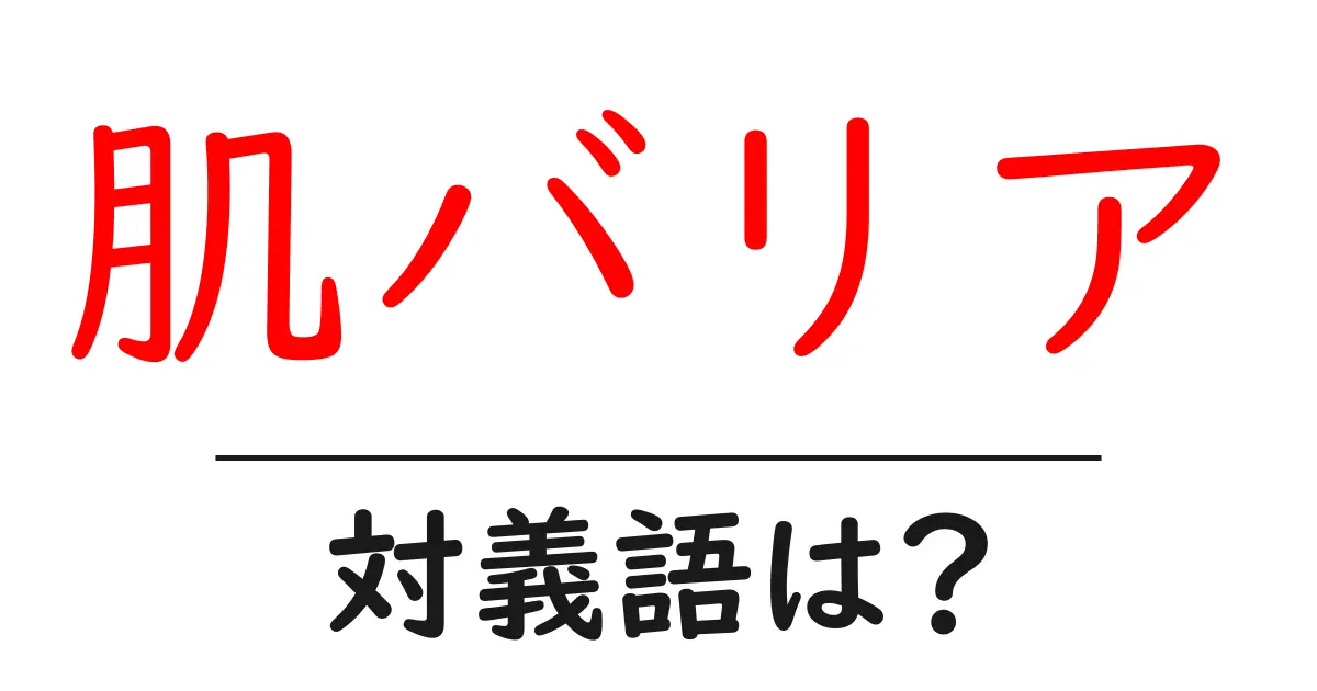 肌バリアの対義語・反対語を使用例を交えて分かりやすく解説!