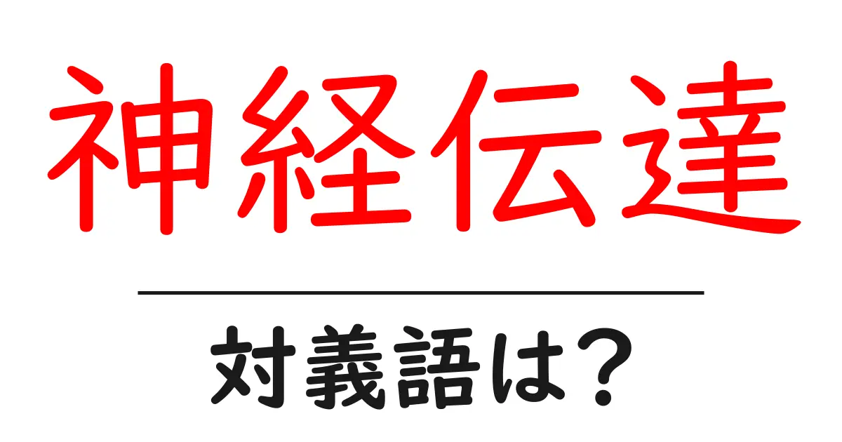 神経伝達の対義語・反対語を使用例を交えて分かりやすく解説!