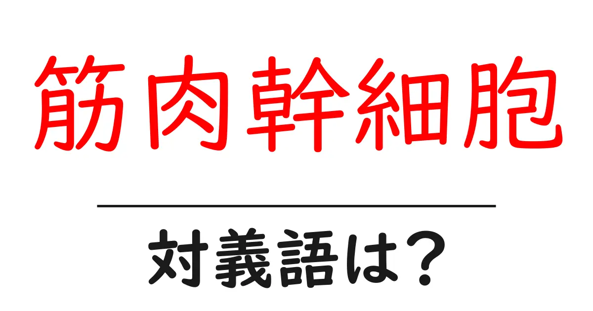 筋肉幹細胞の対義語・反対語を使用例を交えて分かりやすく解説!