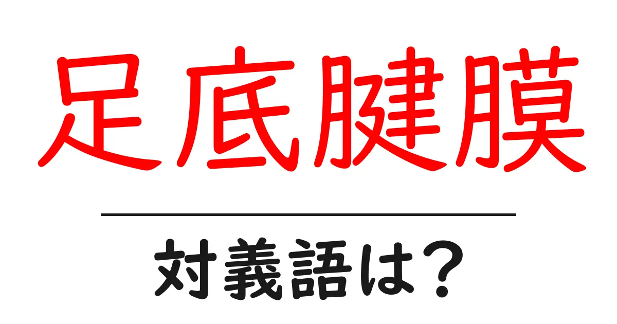 足底腱膜の対義語・反対語を使用例を交えて分かりやすく解説!