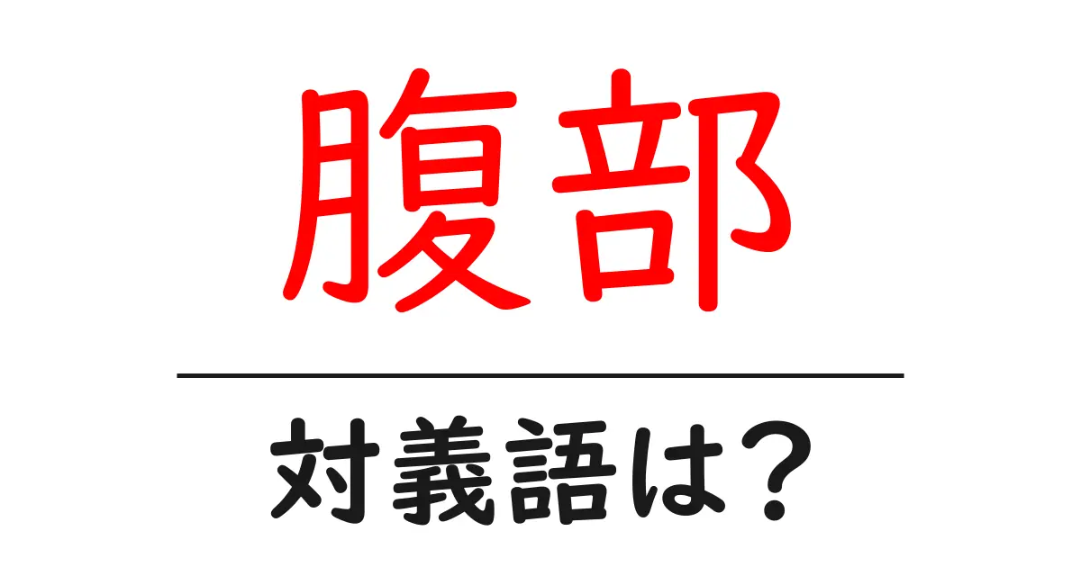 腹部の対義語・反対語を使用例を交えて分かりやすく解説！