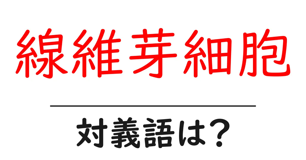 線維芽細胞の対義語・反対語を使用例を交えて分かりやすく解説!