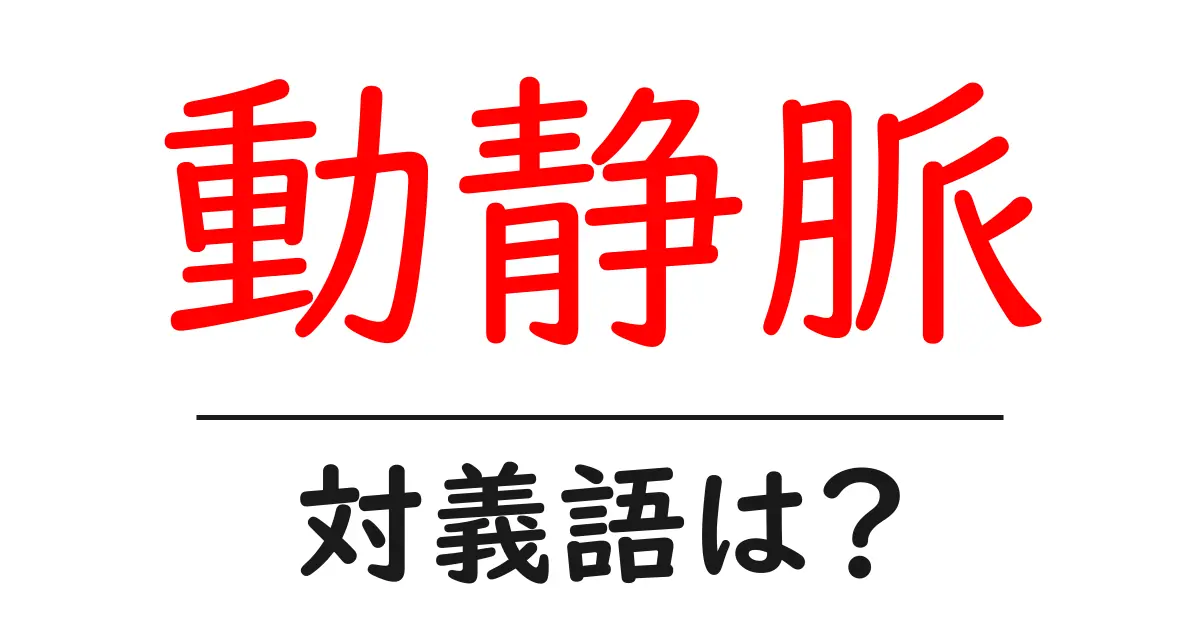 動静脈の対義語・反対語を使用例を交えて分かりやすく解説!