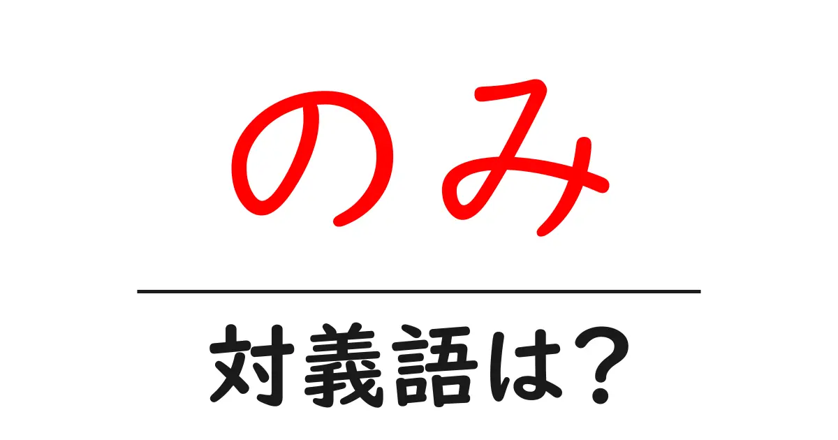 のみの対義語・反対語を使用例を交えて分かりやすく解説!