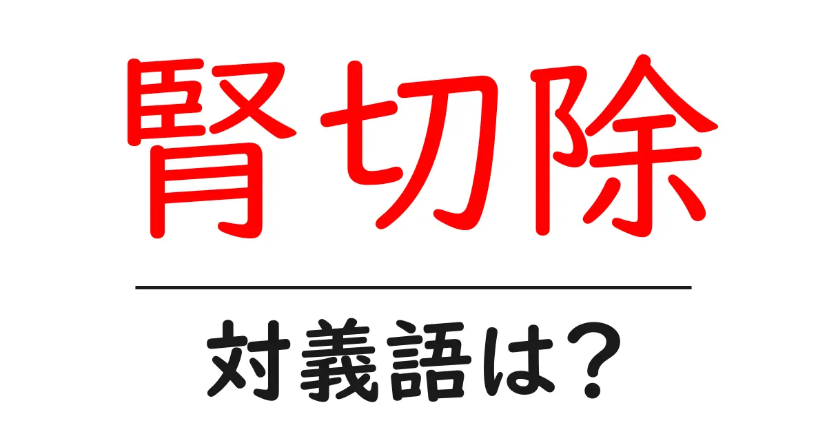 腎切除の対義語・反対語を使用例を交えて分かりやすく解説！