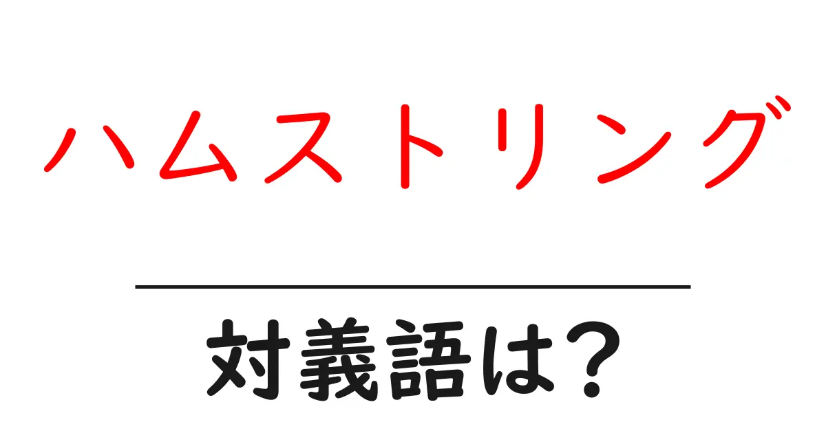 ハムストリングの対義語・反対語を使用例を交えて分かりやすく解説!