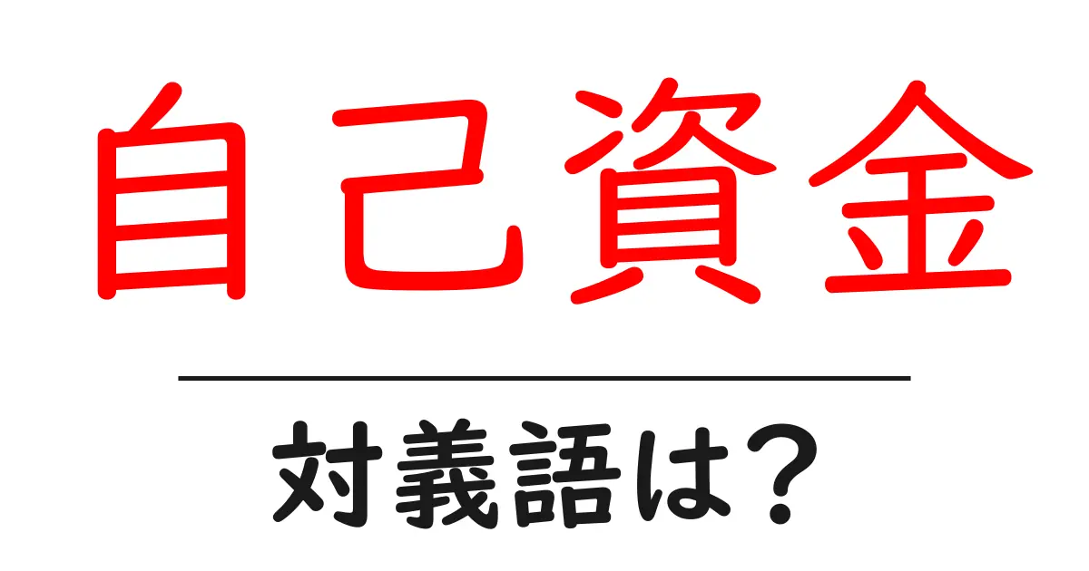 自己資金の対義語・反対語を使用例を交えて分かりやすく解説！