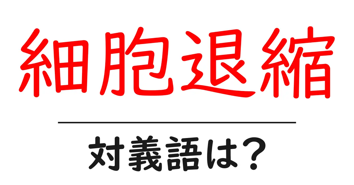 細胞退縮の対義語・反対語を使用例を交えて分かりやすく解説!