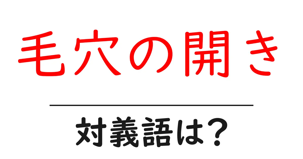 毛穴の開きの対義語・反対語を使用例を交えて分かりやすく解説!