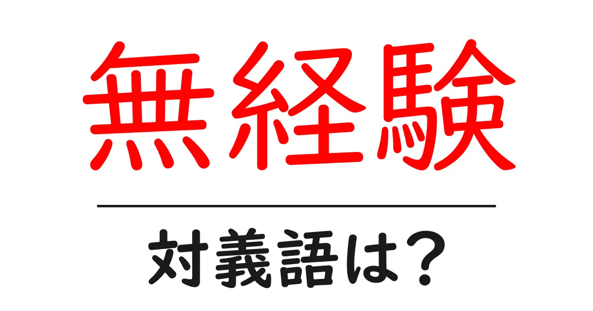 無経験の対義語・反対語を使用例を交えて分かりやすく解説!