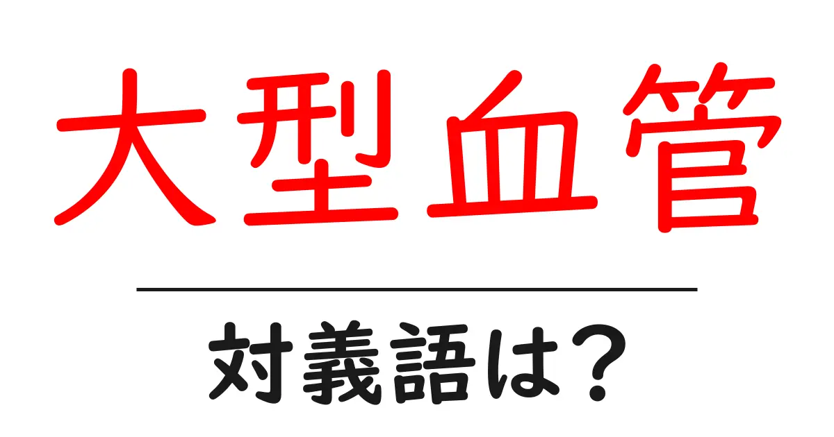 大型血管の対義語・反対語を使用例を交えて分かりやすく解説!