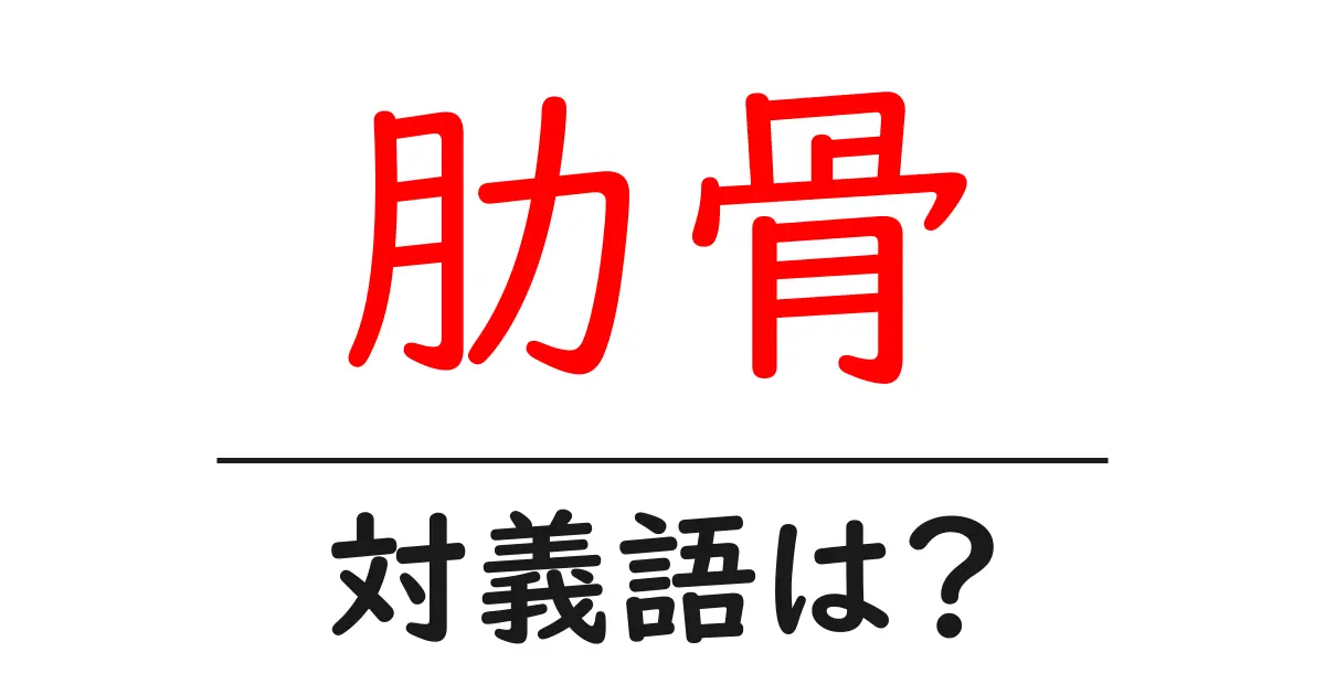 肋骨の対義語・反対語を使用例を交えて分かりやすく解説!