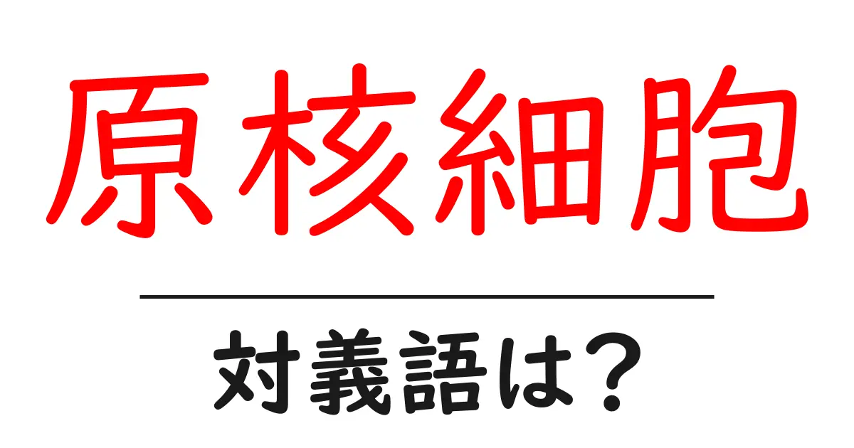 原核細胞の対義語・反対語を使用例を交えて分かりやすく解説!