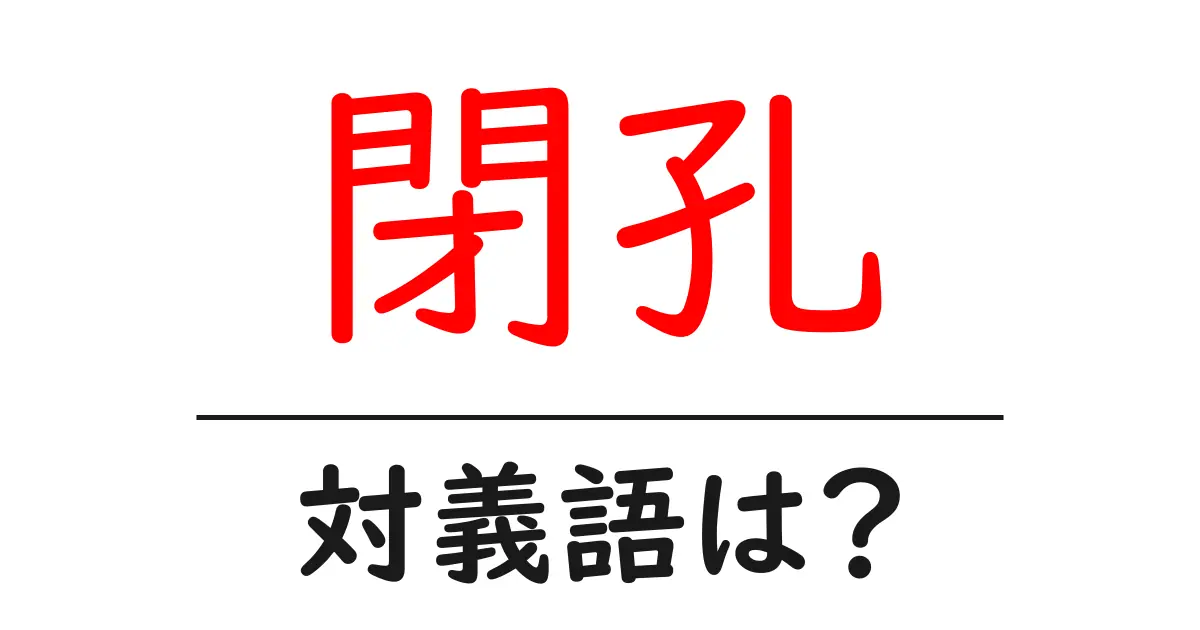 閉孔の対義語・反対語を使用例を交えて分かりやすく解説!