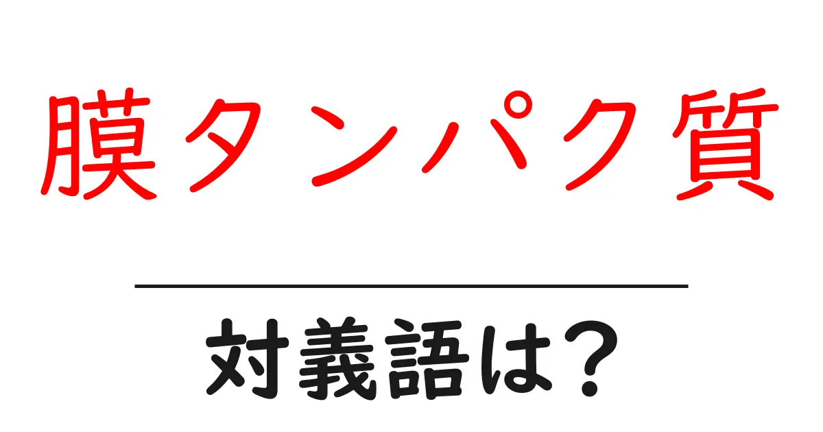 膜タンパク質の対義語・反対語を使用例を交えて分かりやすく解説！