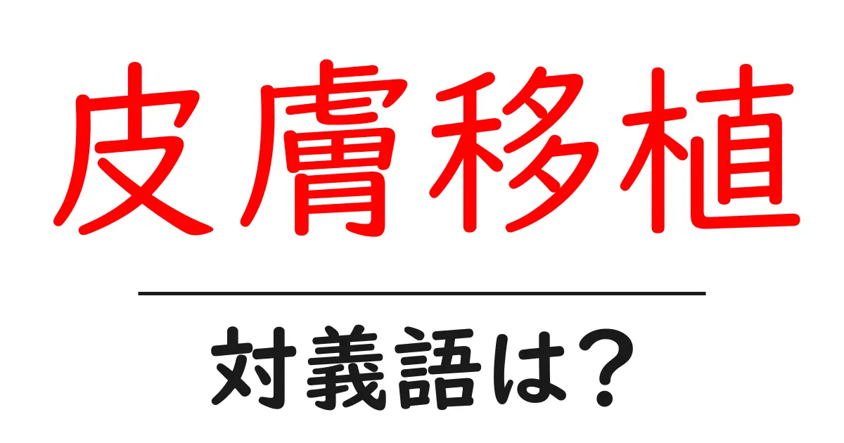 皮膚移植の対義語・反対語を使用例を交えて分かりやすく解説！