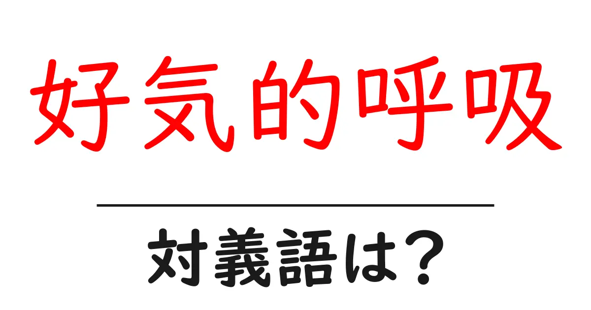 好気的呼吸の対義語・反対語を使用例を交えて分かりやすく解説!