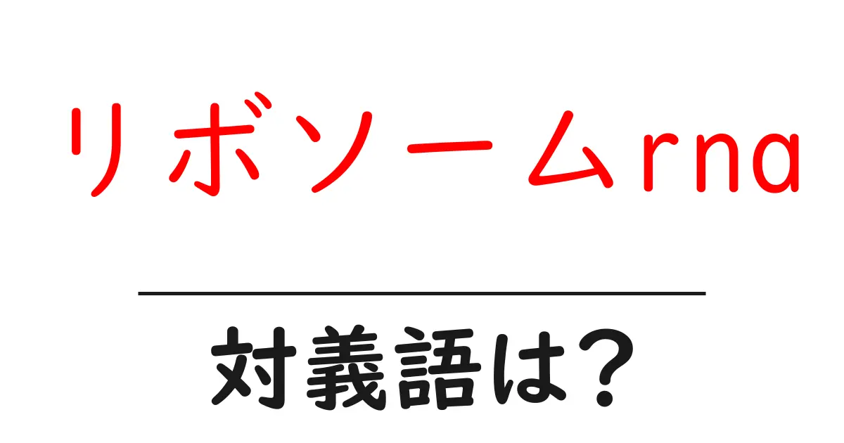 リボソームrnaの対義語・反対語を使用例を交えて分かりやすく解説!