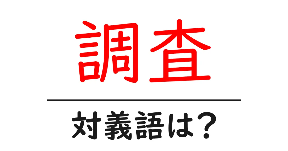 調査の対義語・反対語を使用例を交えて分かりやすく解説！